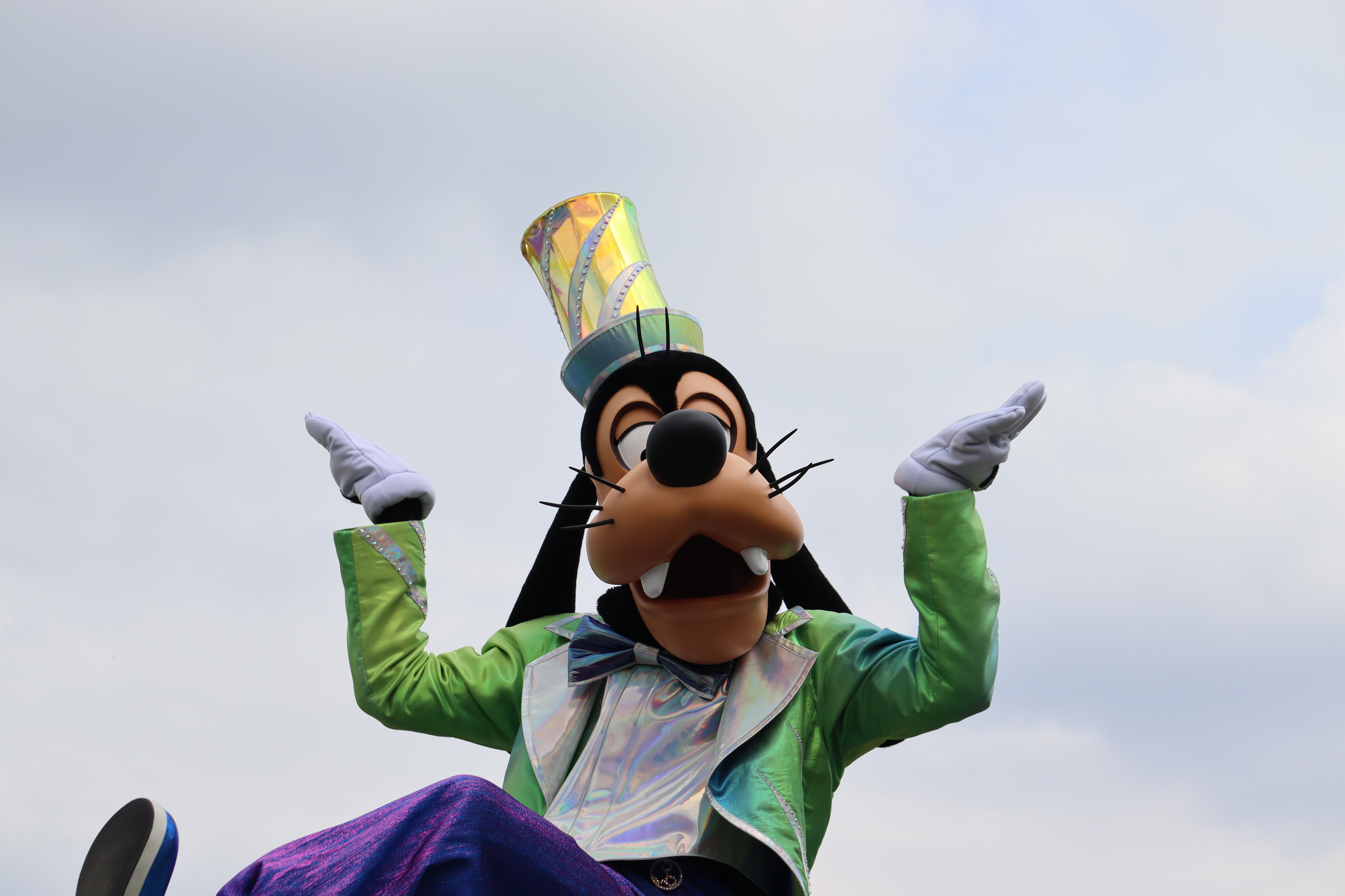 Goofy