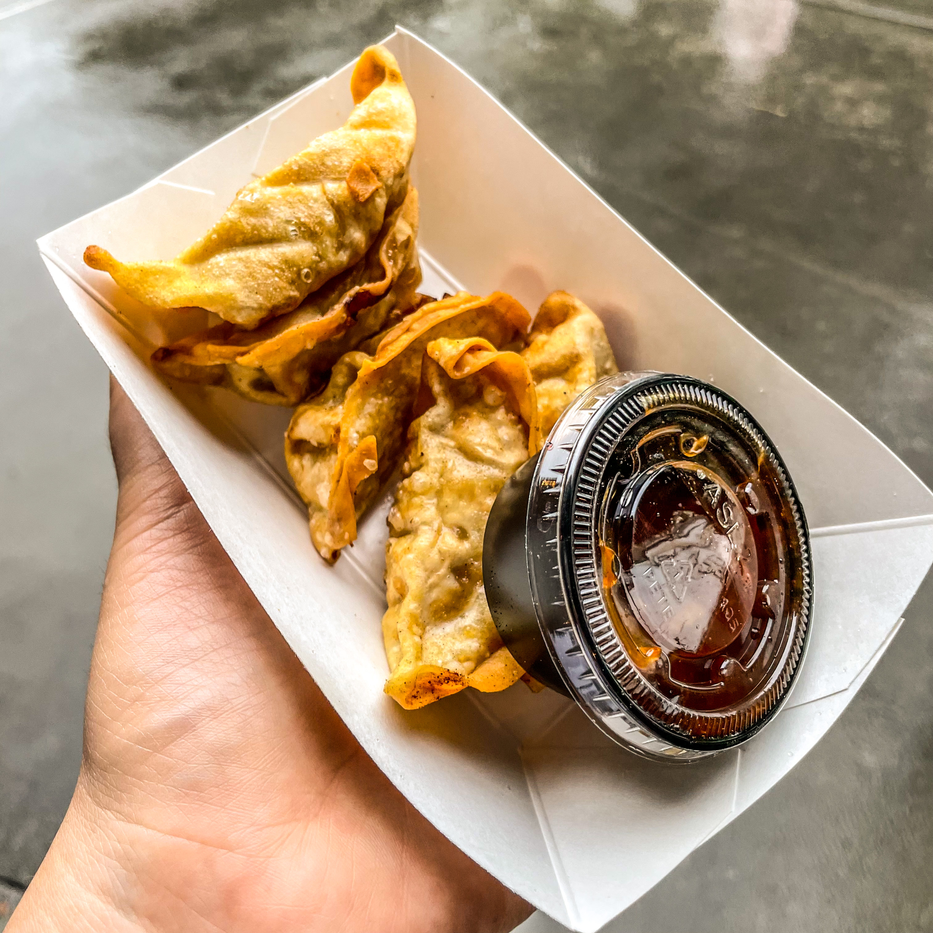 Fried Pork & Vegetable Pot Stickers 