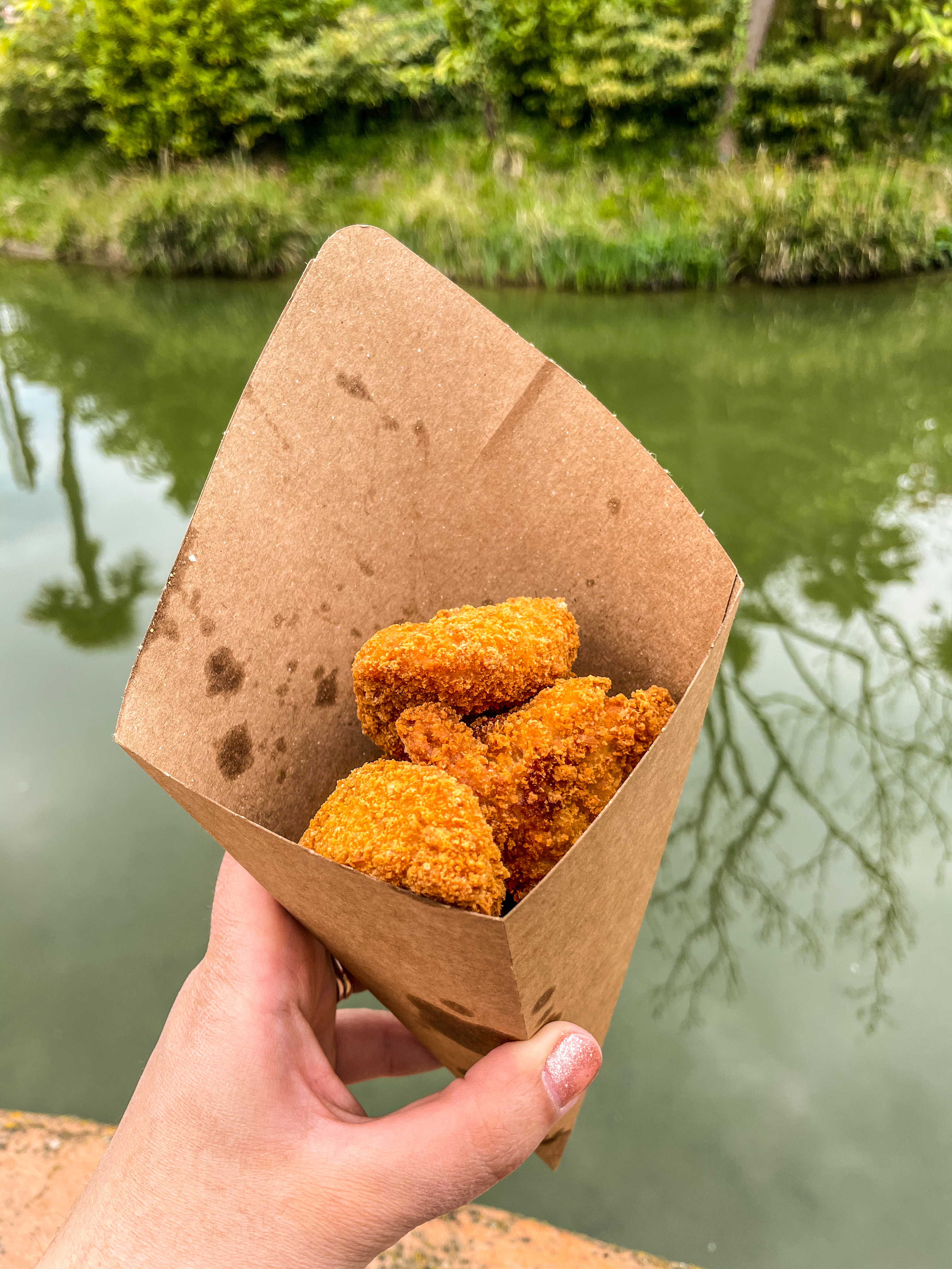 Crispy Chicken Bites 