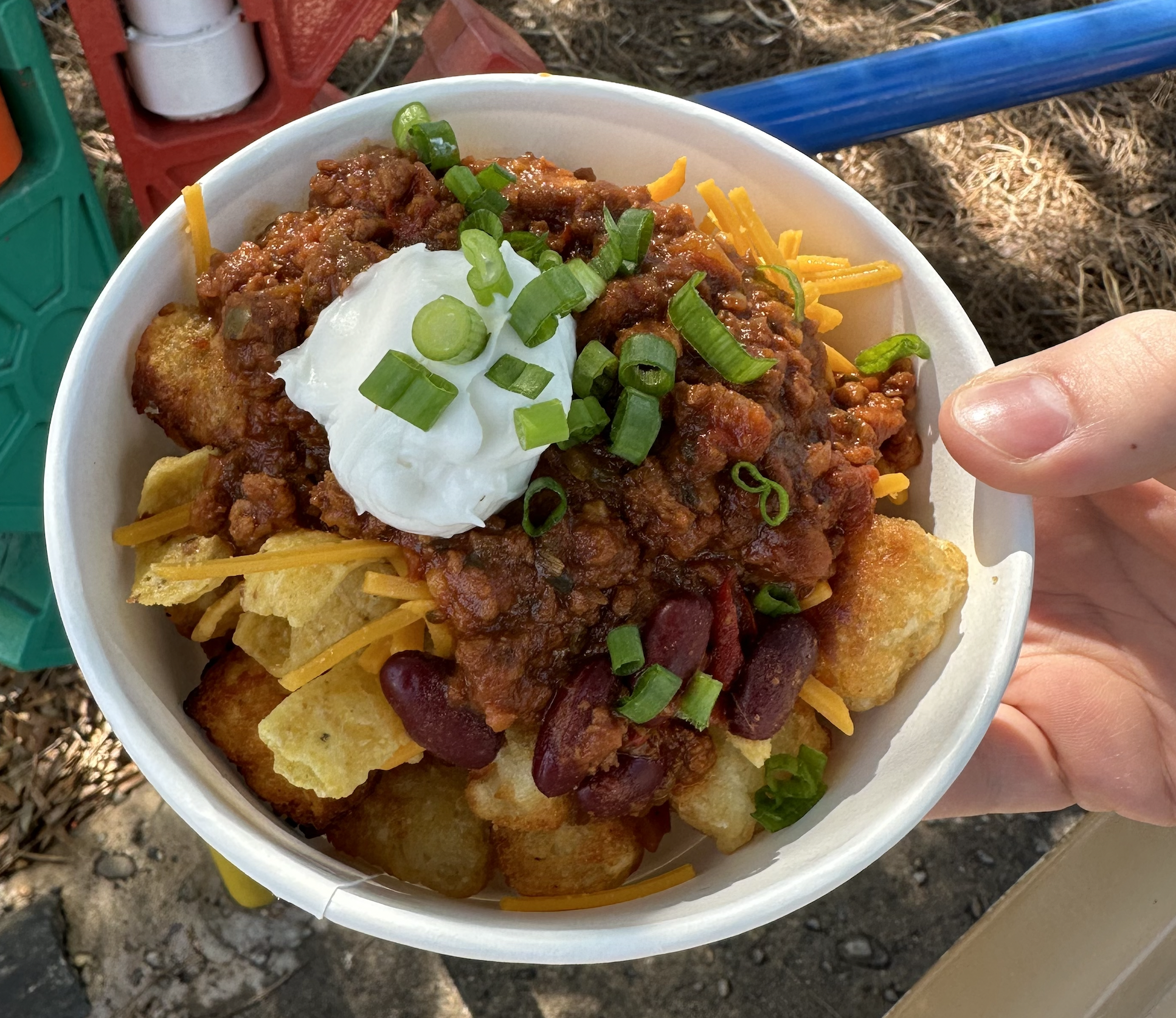 Plant-based Totchos