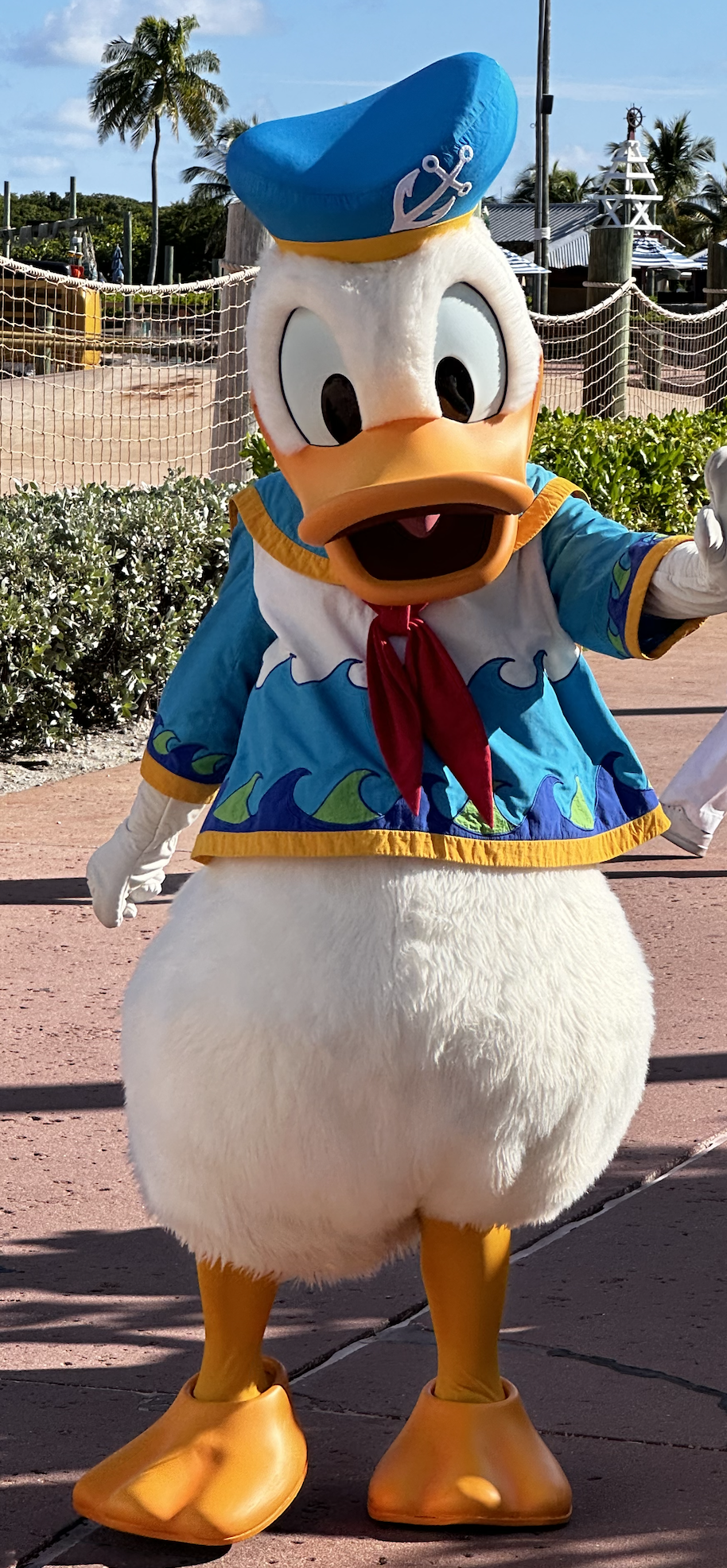 Donald Duck