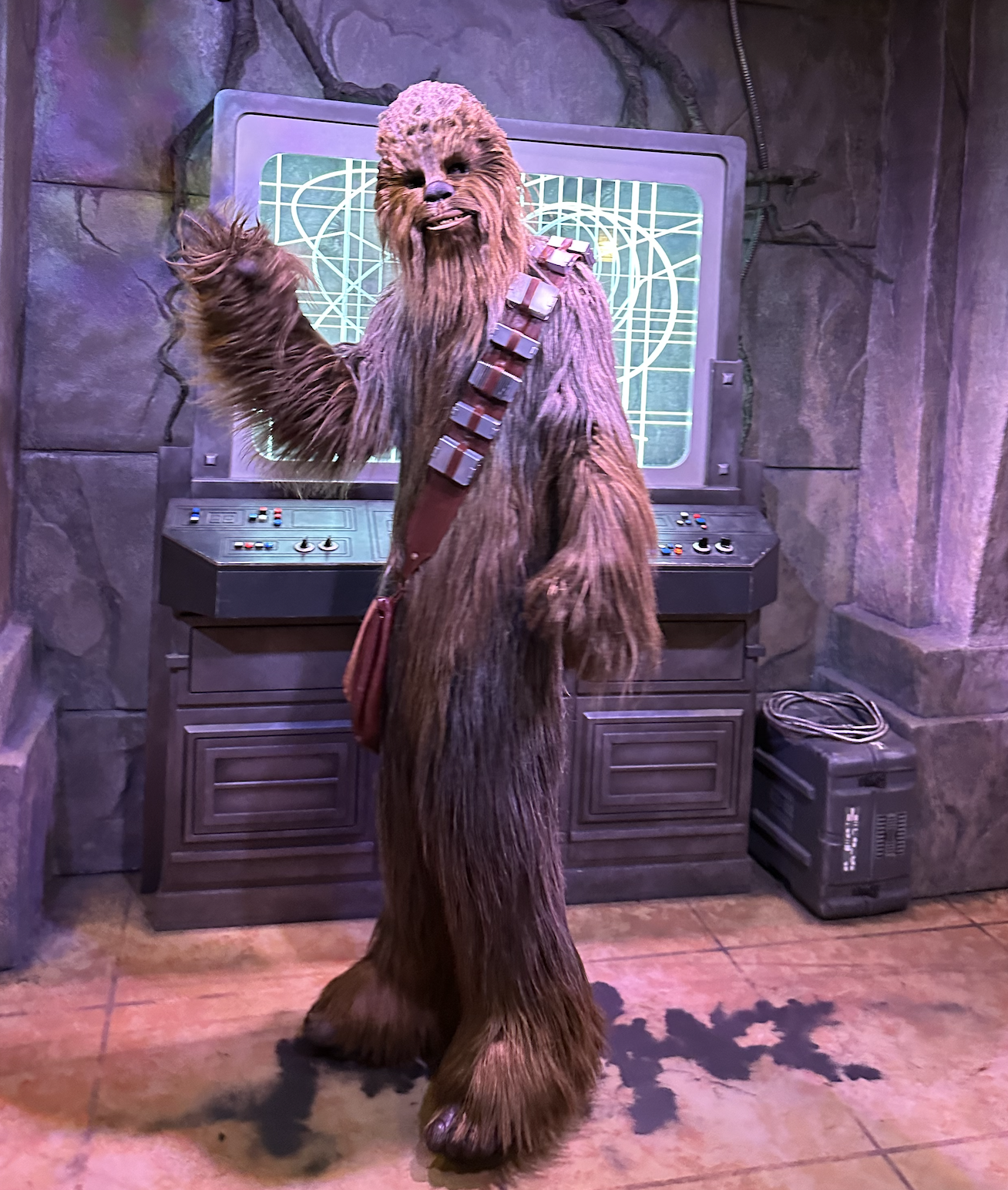 Chewbacca