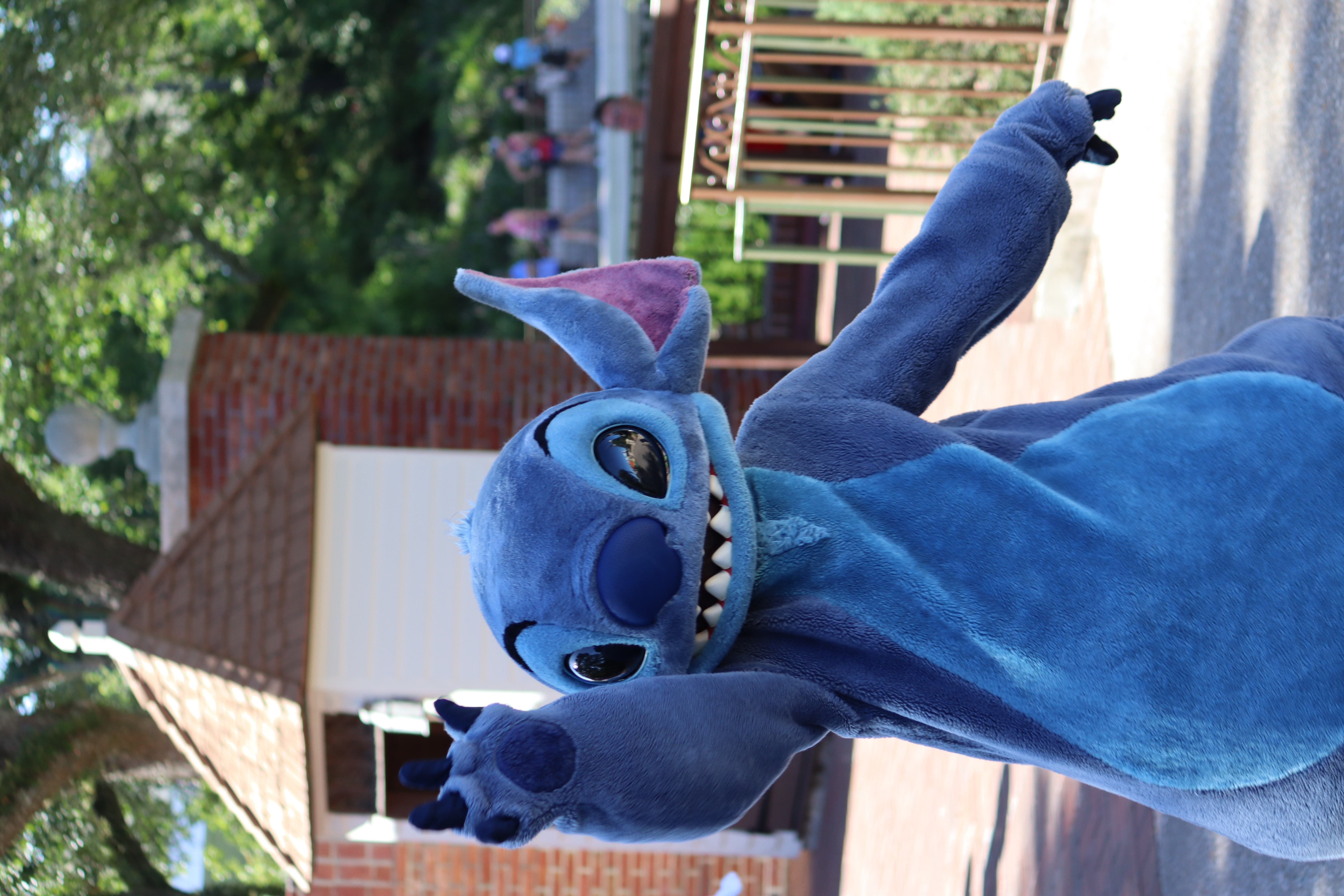 Stitch