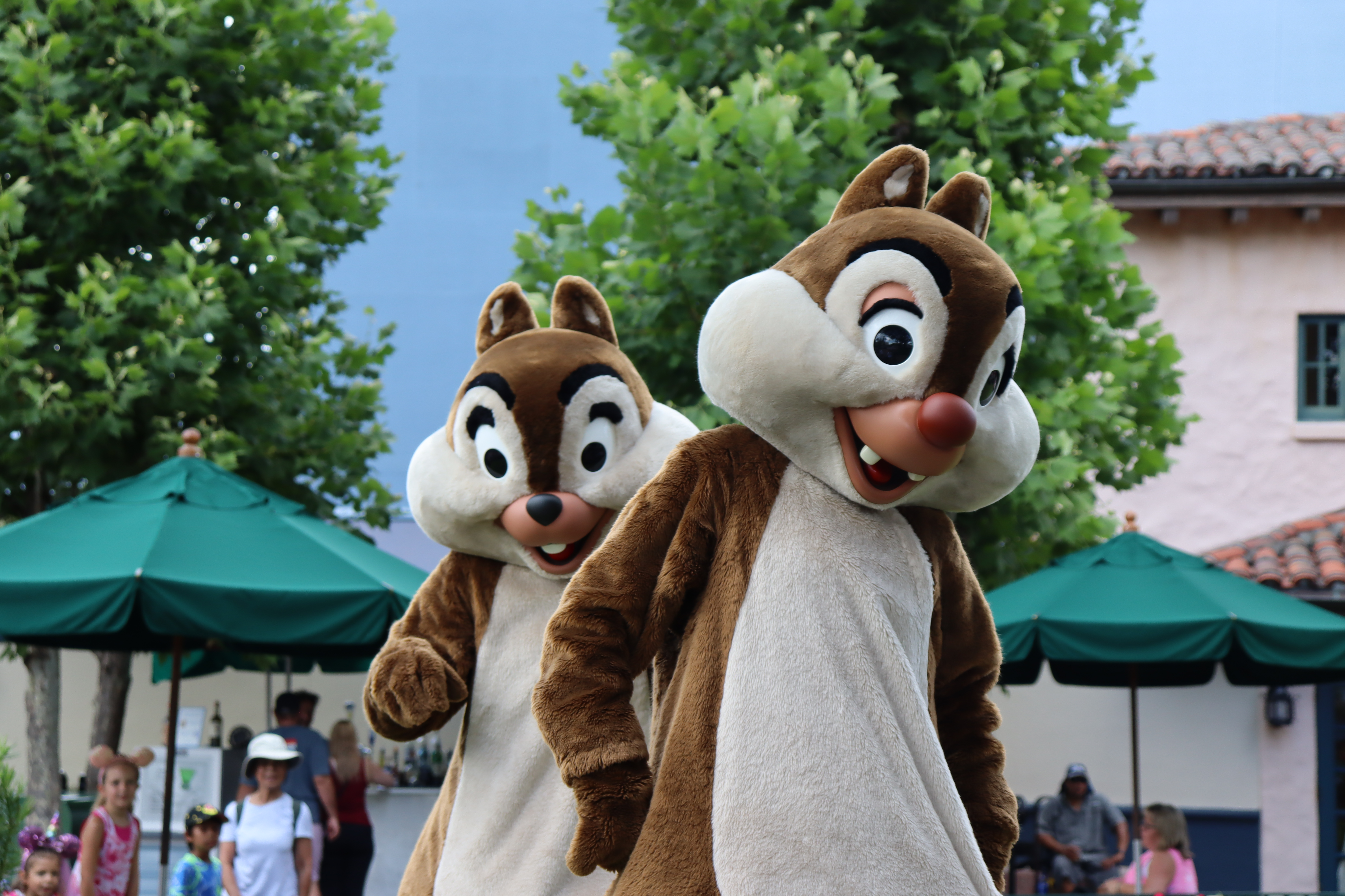 Chip 'n' Dale